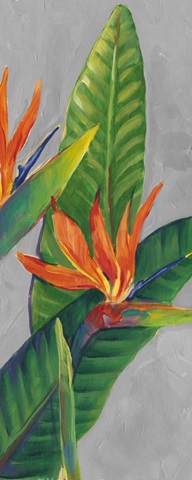 Bird of Paradise Triptych III