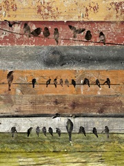 Birds on Wood I