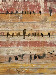 Birds on Wood II