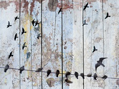 Birds on Wood III