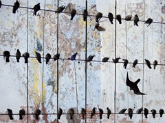 Birds on Wood IV