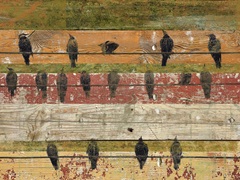 Birds on Wood VI