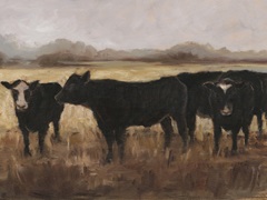 Black Cows I