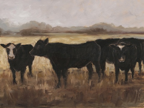 Black Cows I