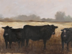 Black Cows I