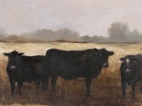 Black Cows I
