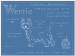 Blueprint Westie