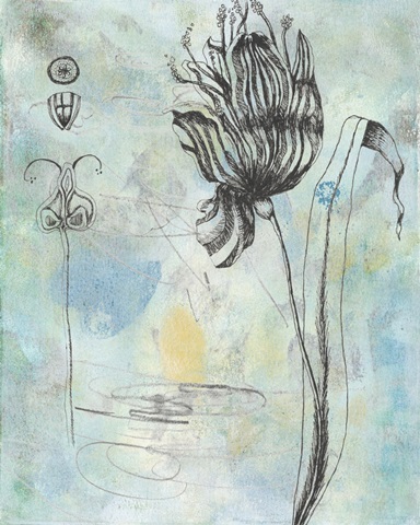 Botanical Abstract I