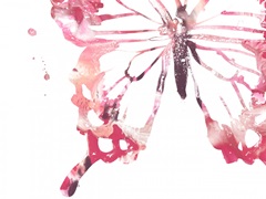 Butterfly Imprint IV