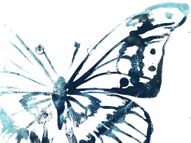 Butterfly Imprint V