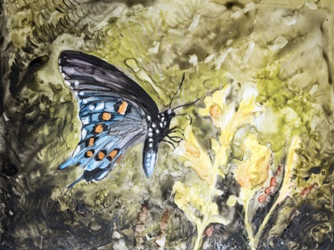 Butterfly in Nature I