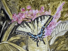 Butterfly in Nature II