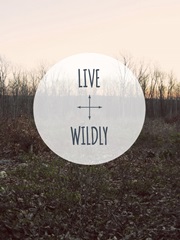 Centered Sentiment I