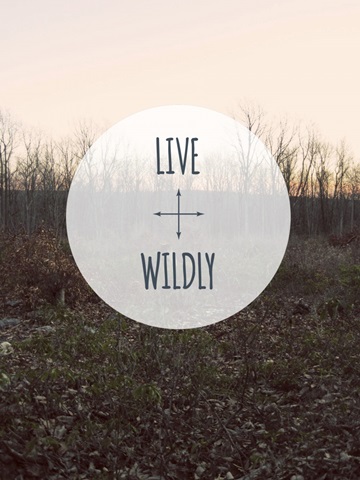 Centered Sentiment I