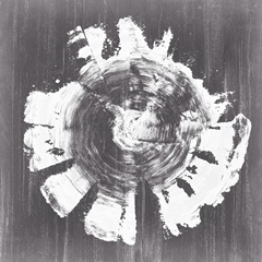 Chalkboard Tree Ring II