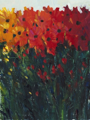 Color Spectrum Flowers I