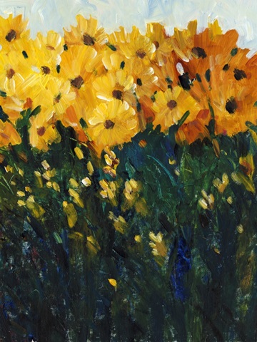 Color Spectrum Flowers II