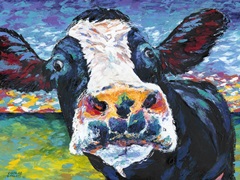 Curious Cow II