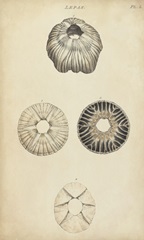 Cylindrical Shells II