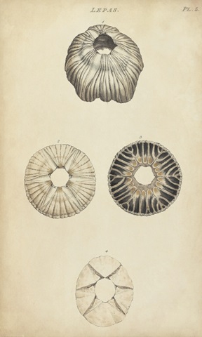 Cylindrical Shells II