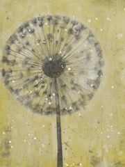 Dandelion Abstract II