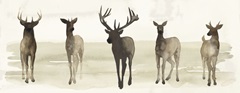 Deer Line II
