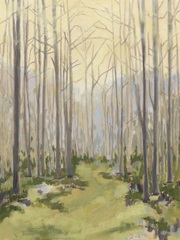 Delicate Forest I