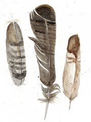 Earthtone Feathers I