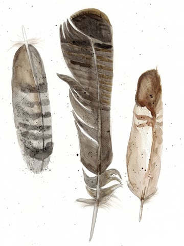 Earthtone Feathers I
