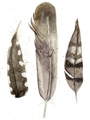 Earthtone Feathers II