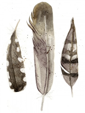 Earthtone Feathers II