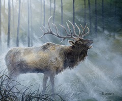Elk Journey III
