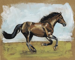 Equestrian Studies I