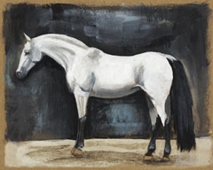 Equestrian Studies VI