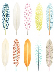Feather Patterns II