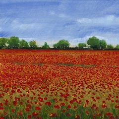 Field of Poppies I