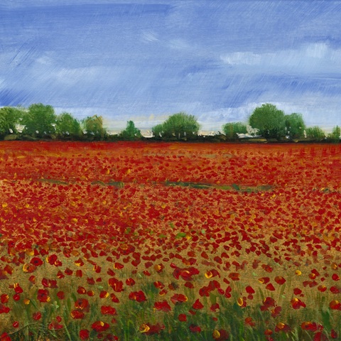 Field of Poppies I