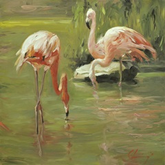 Flamingo II