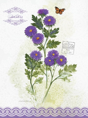 Flower Study on Lace II