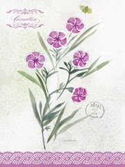 Flower Study on Lace III