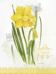 Flower Study on Lace V