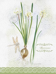 Flower Study on Lace XII