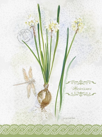 Flower Study on Lace XII