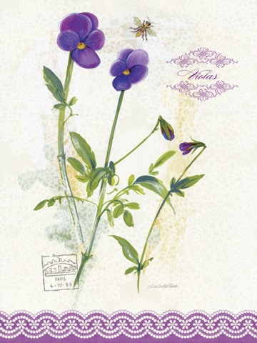 Flower Study on Lace XIV