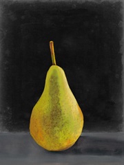 Fruit on Shelf IV