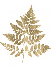 Graphic Gold Fern I