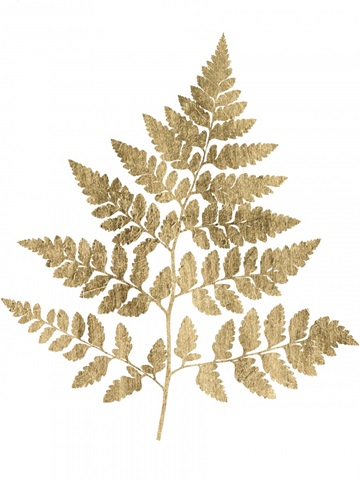 Graphic Gold Fern I