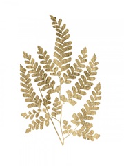 Graphic Gold Fern II