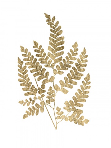 Graphic Gold Fern II