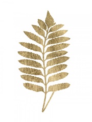 Graphic Gold Fern III
